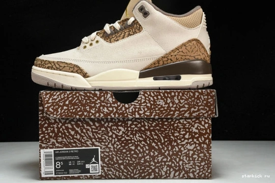 Retro Jordan  3  CT8532-102 Palomino CT8532-102 0925